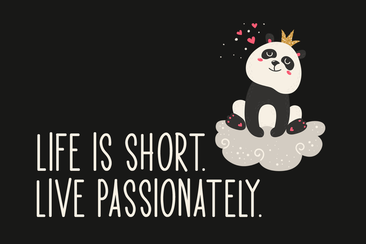 Delighted Panda Typeface, a Script Font by Seemly Fonts (Photo 5 of 5)