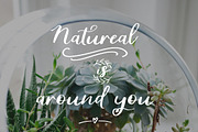 The Memorie Font DUO & Doodle, a Script Font by Artstudio (Thumbnail 2 of 13)