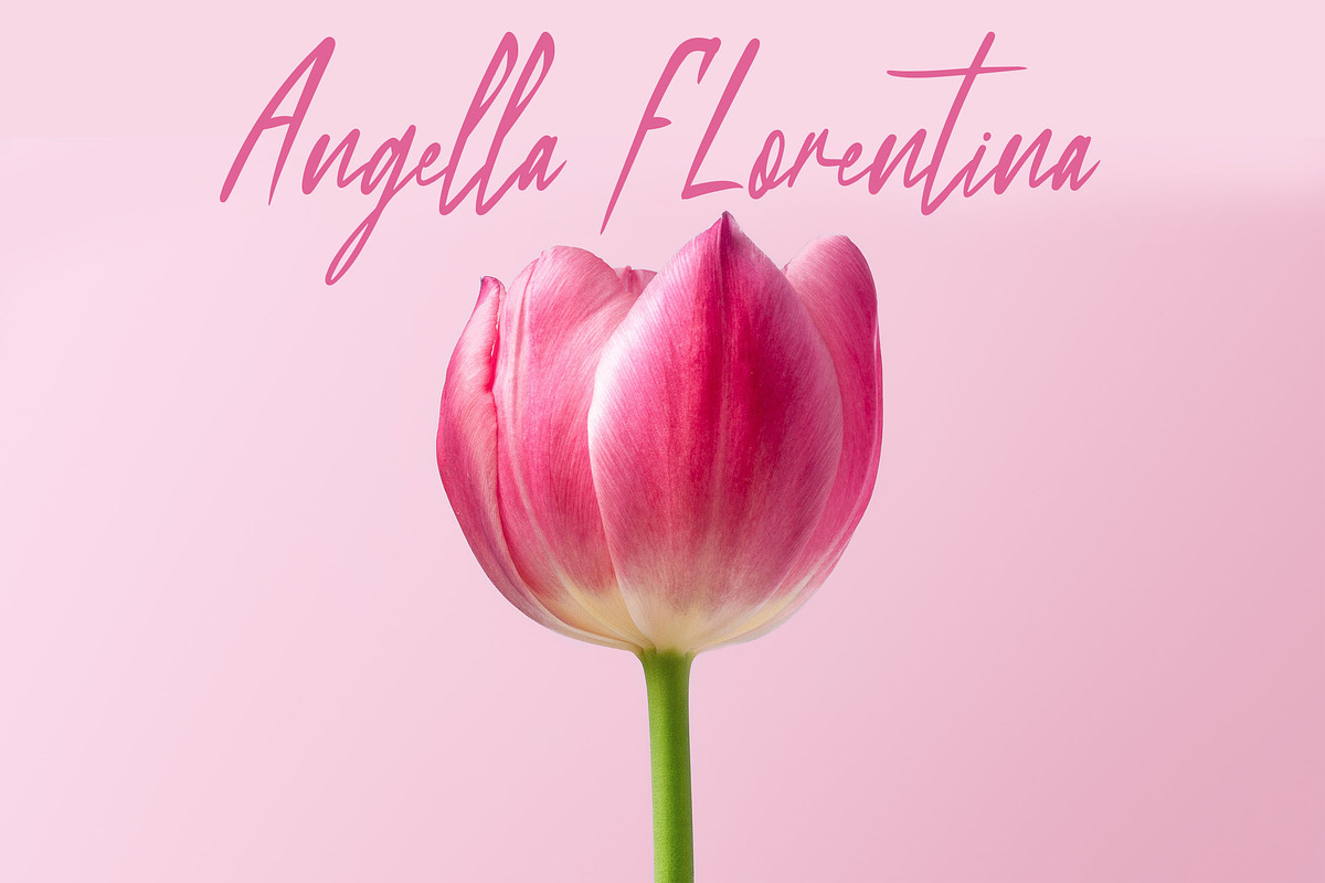 Metalova Elegant Script Font, a Script Font by NTC Graphic (Photo 7 of 9)