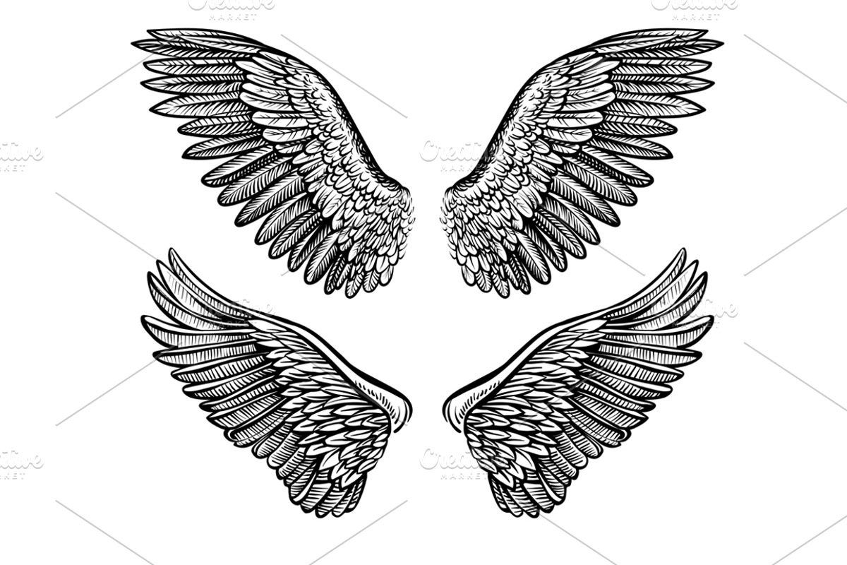 Vector Wings, an Object Graphic by Aquatinta (Photo 3 of 4)