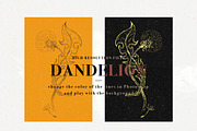 Dandelion set of 14 pen sketches, an Illustration by Bee_in_a_Nest (Thumbnail 3 of 4)