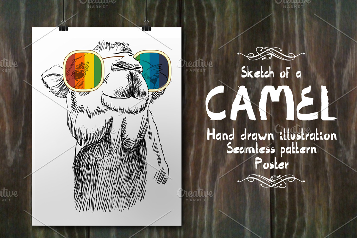 Fashion camel set, an Animal Illustration by TaPilipa (Photo 1 of 5)