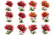 Whimsical spring poppy flower Clipar, an Illustration by Designworld (Thumbnail 3 of 8)