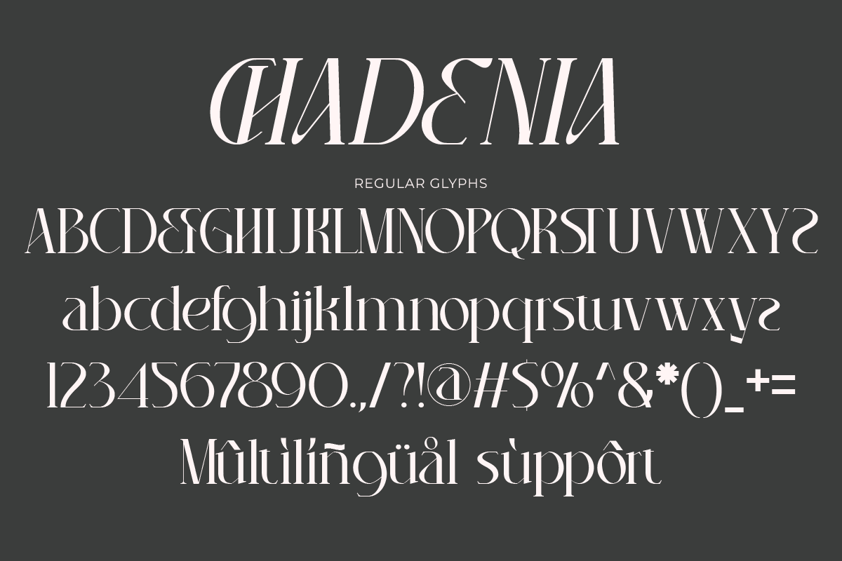 Chadenia, a Serif Font by Muksal Creative (Photo 8 of 9)
