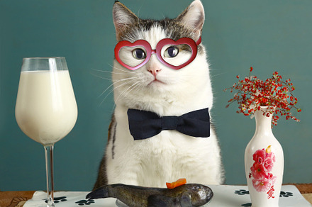 be my valentine day card with funny