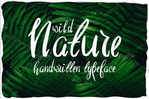 Wild Nature Script Typeface preview 6