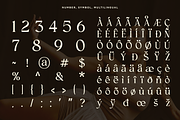 Clony – Elegant Ligature Serif, a Serif Font by RagamKata (Thumbnail 10 of 10)