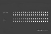 Hornhir Font Family (2 Fonts), a Sans Serif Font by AlienValley (Thumbnail 6 of 6)