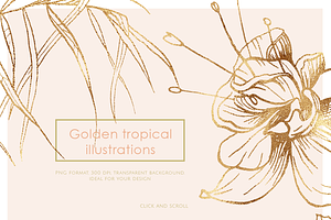 Tropical Illustrations & Patterns