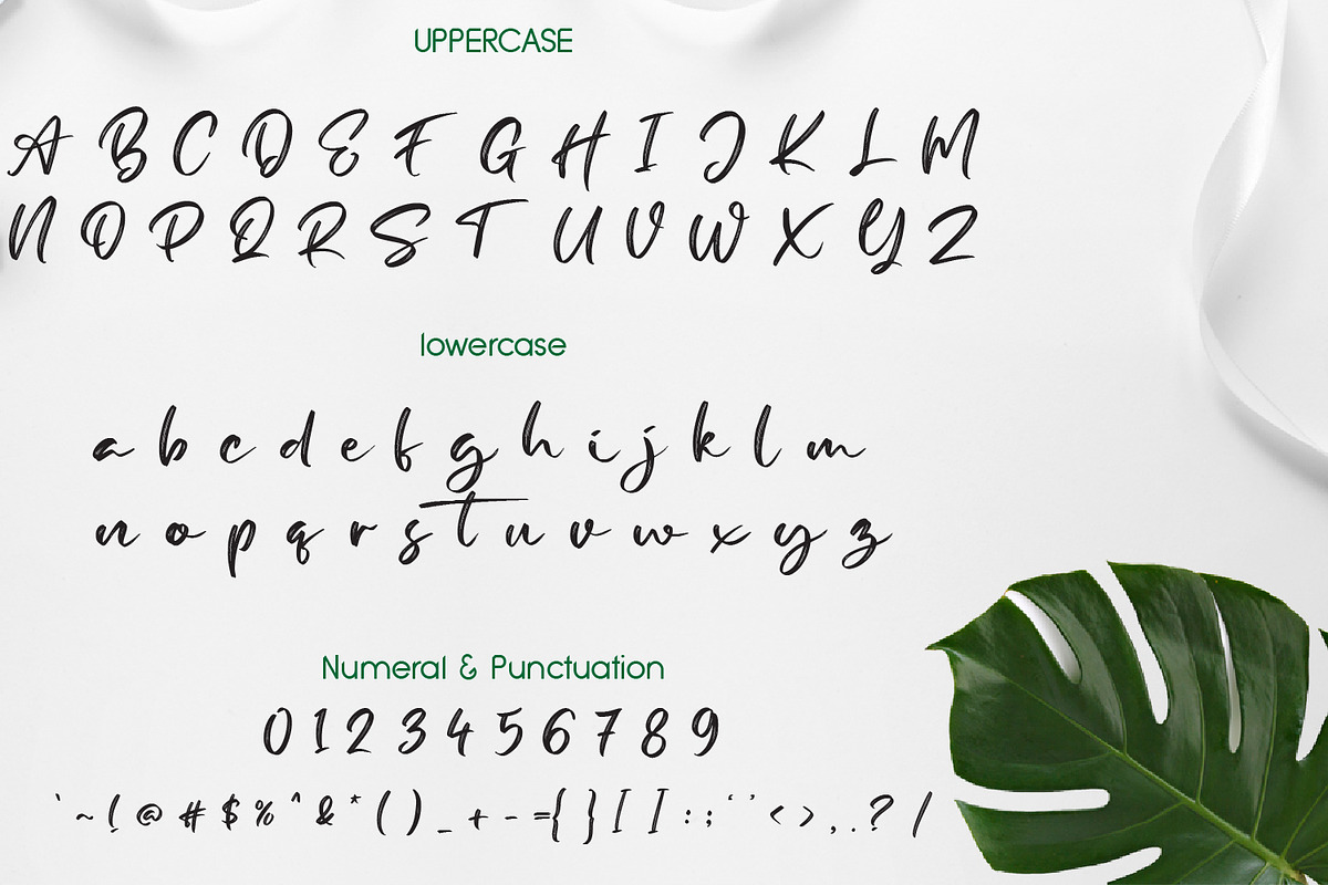 Broome Brush, a Script Font by adelaide (Photo 2 of 4)