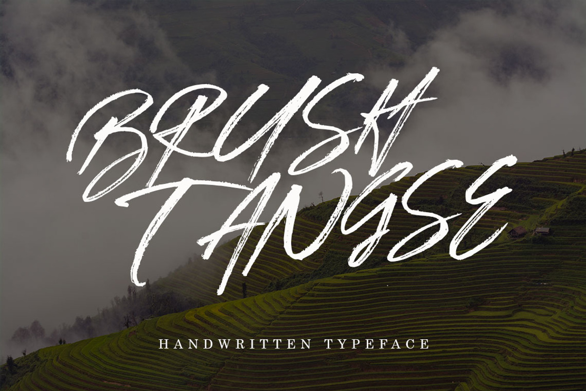 Brush Tangse