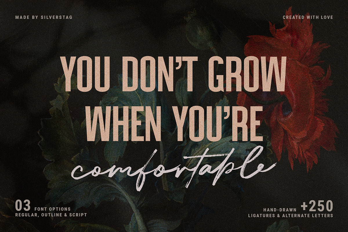 Dreaming Of Spring Stylish Font Duo, a Sans Serif Font by SilverStag Type Foundry (Photo 5 of 23)