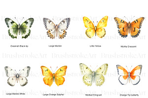 White Butterflies Clipart, Butterfly