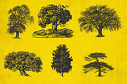 37 Vintage Tree Illustrations, an Object Graphic by AndrewPixel (Thumbnail 6 of 8)