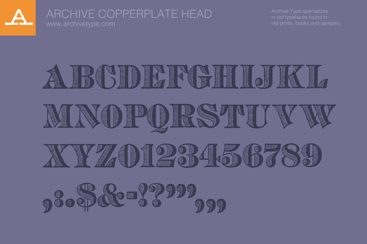 Archive Copperplate Head preview 3