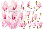 Magnolia-Clipart Set Watercolor, an Illustration by watercolorwild.graphics (Thumbnail 4 of 9)