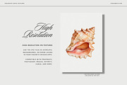 Watercolor Paper Textures, a Texture Graphic by Fins and Fiction (Thumbnail 5 of 7)