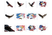 American Eagle Flag Patriotic, an Illustration by VetalStock (Thumbnail 2 of 3)