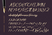 Skayhan Chester Bold Brush Font, a Script Font by Letterena Studios Script (Thumbnail 17 of 20)