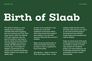 Slaab Font Family 45 Styles, a Slab Serif Font by That That Creative (Thumbnail 6 of 13)