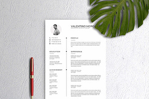 Clean Resume