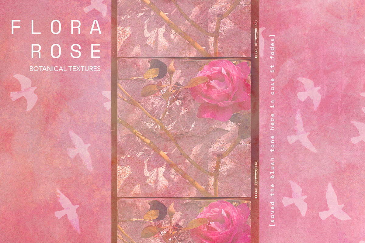 FloraRose: Botanical Backgrounds, a Background Graphic by alonahaidash (Photo 4 of 12)