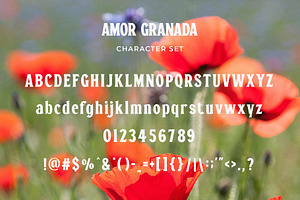 Amor Granada - Classic Display Serif