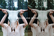 15 Into the Wild Presets, a Preset Add-On by Oak Digital Studios (Thumbnail 3 of 9)