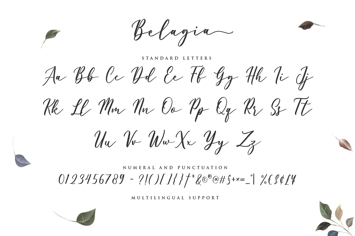 Belagia - Classy Calligraphy preview 5