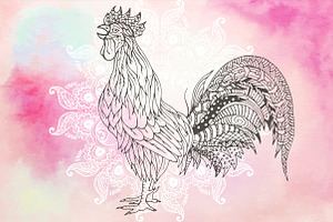 Rooster