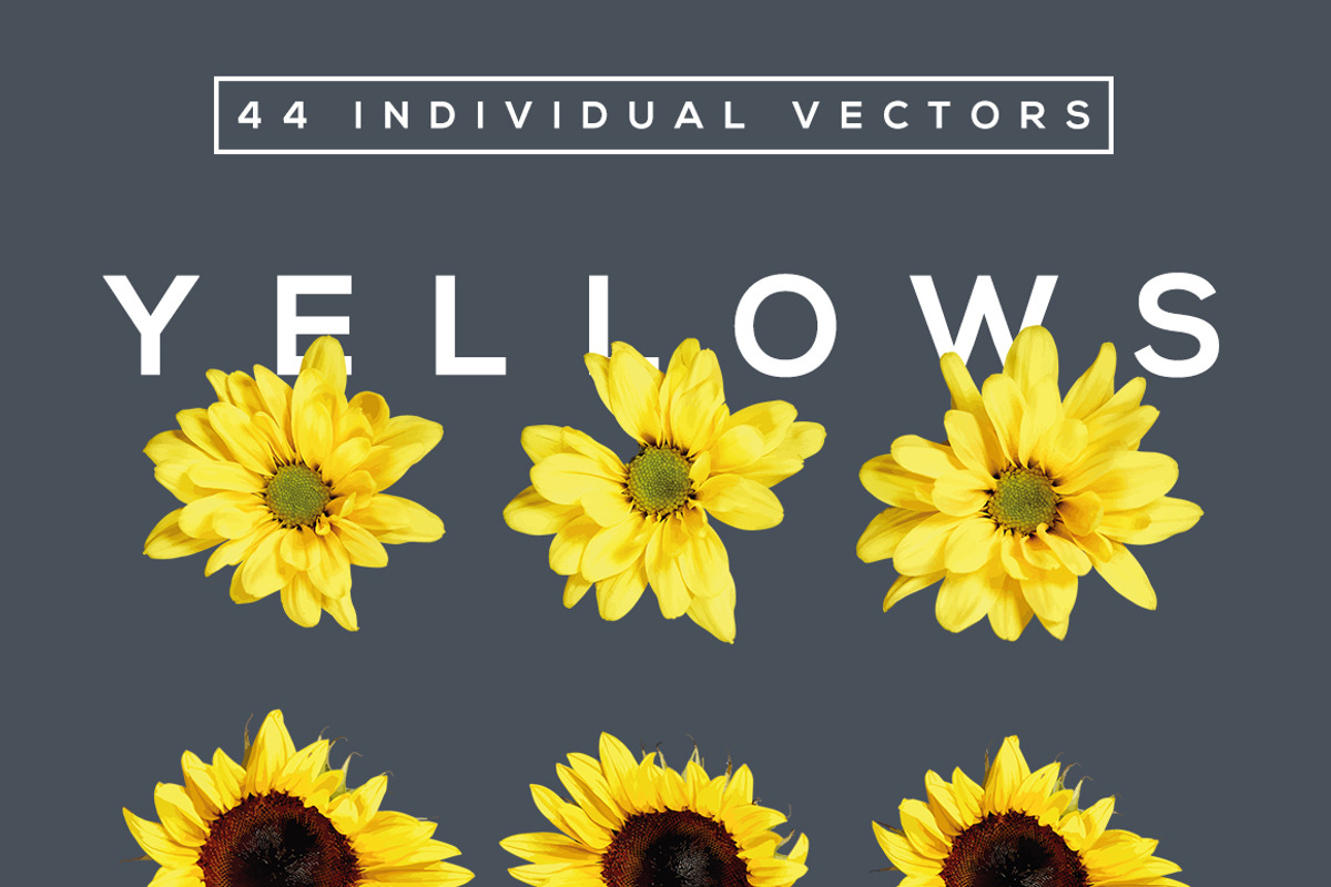 FlowerType for Illustrator preview 4