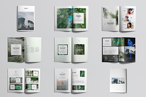 RAINFOREST Brochure / Portfolio