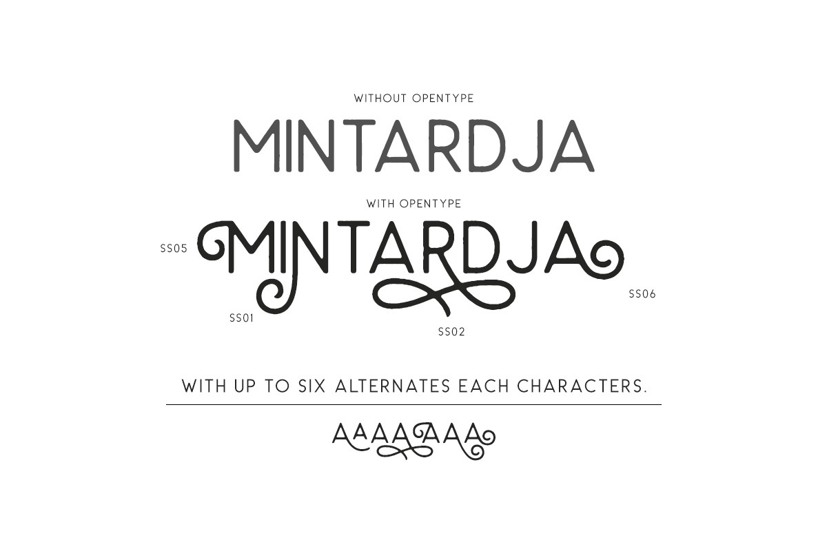 Carrol Wild - Modern Sans preview 4