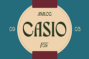 Financier Font, a Serif Font by Pipello Grafik (Thumbnail 2 of 13)