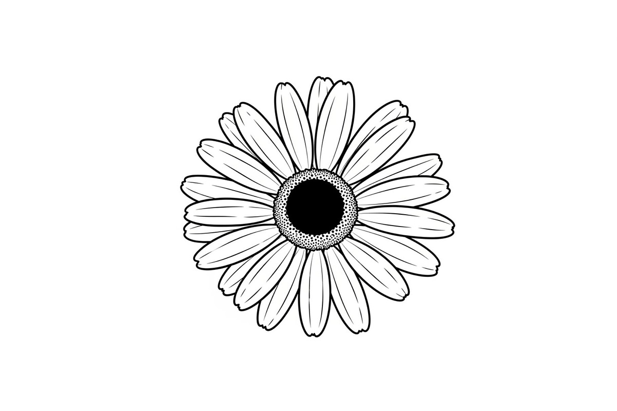 Daisy Flower Line Art Vector Bundle0, an Illustration by jahid234 (Photo 40 of 51)
