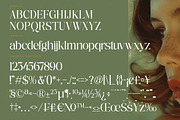 Nostalgic Flashy Modern Serif, a Serif Font by timelesstype.co (Thumbnail 18 of 20)