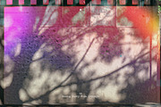 Analog Dusty Film Overlays, a Texture Graphic by Freezerondigital (Thumbnail 18 of 19)