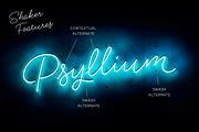 Shaker Script, a Script Font by Fenotype (Thumbnail 2 of 7)