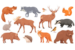 Woodland wild animal. Forest, an Animal Illustration by Stock-Smart-Start