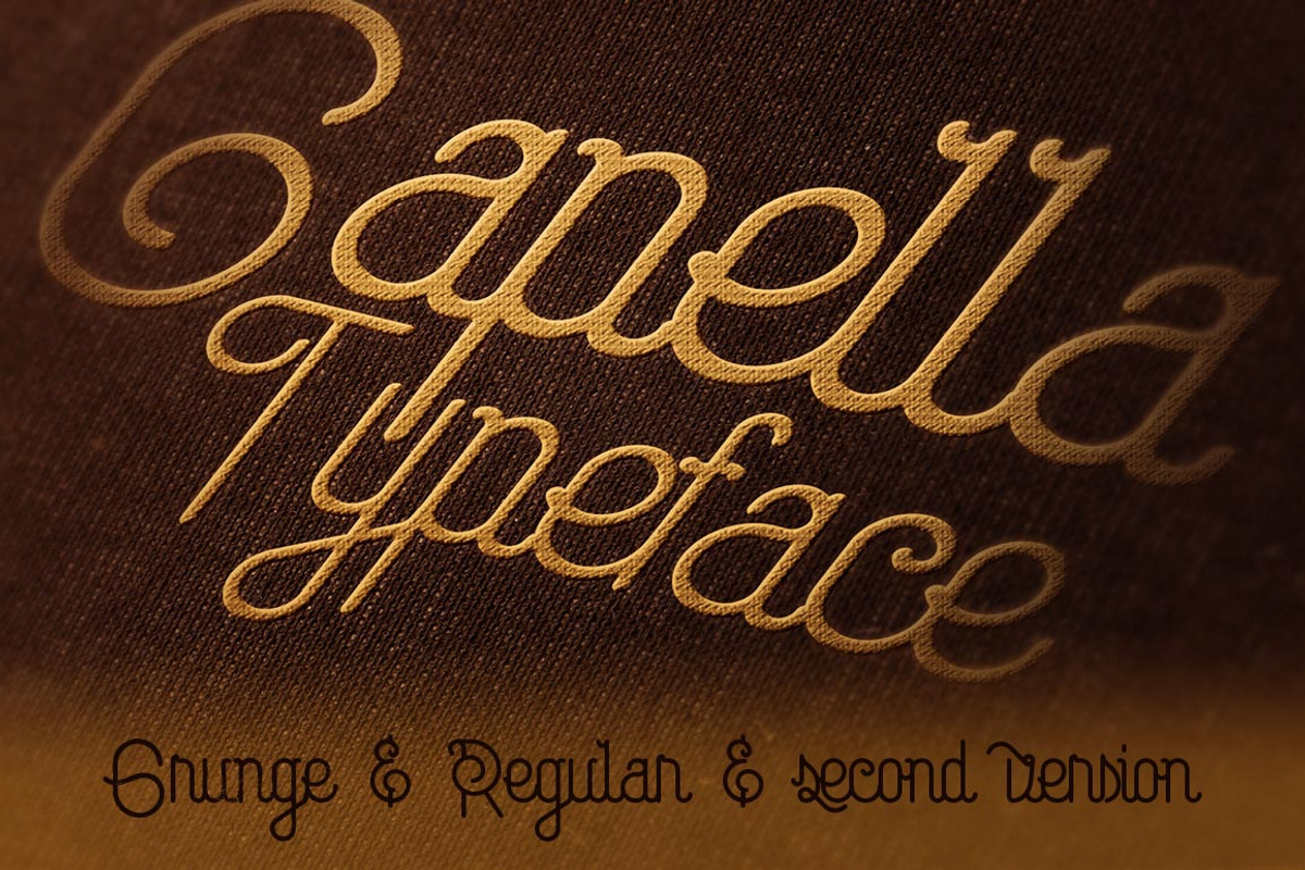 SALE Bundle 249 Fonts & 414 Logos, a Font by Cruzine (Photo 13 of 58)