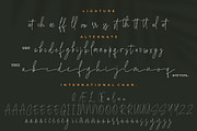 Bucherry Monoline Script, a Script Font by Creatype Studio (Thumbnail 9 of 9)
