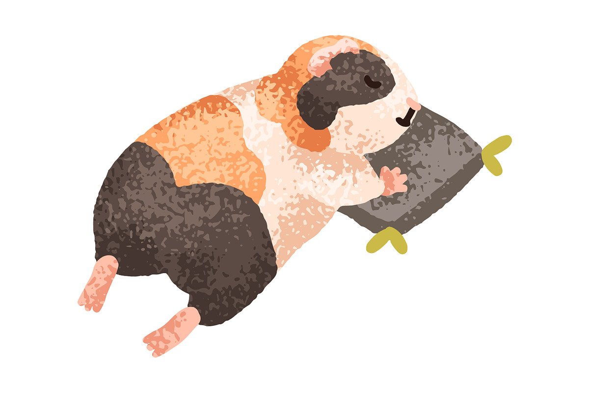 Cute, funny guinea pig animals set, an Animal Illustration by Good Studio (Photo 5 of 14)