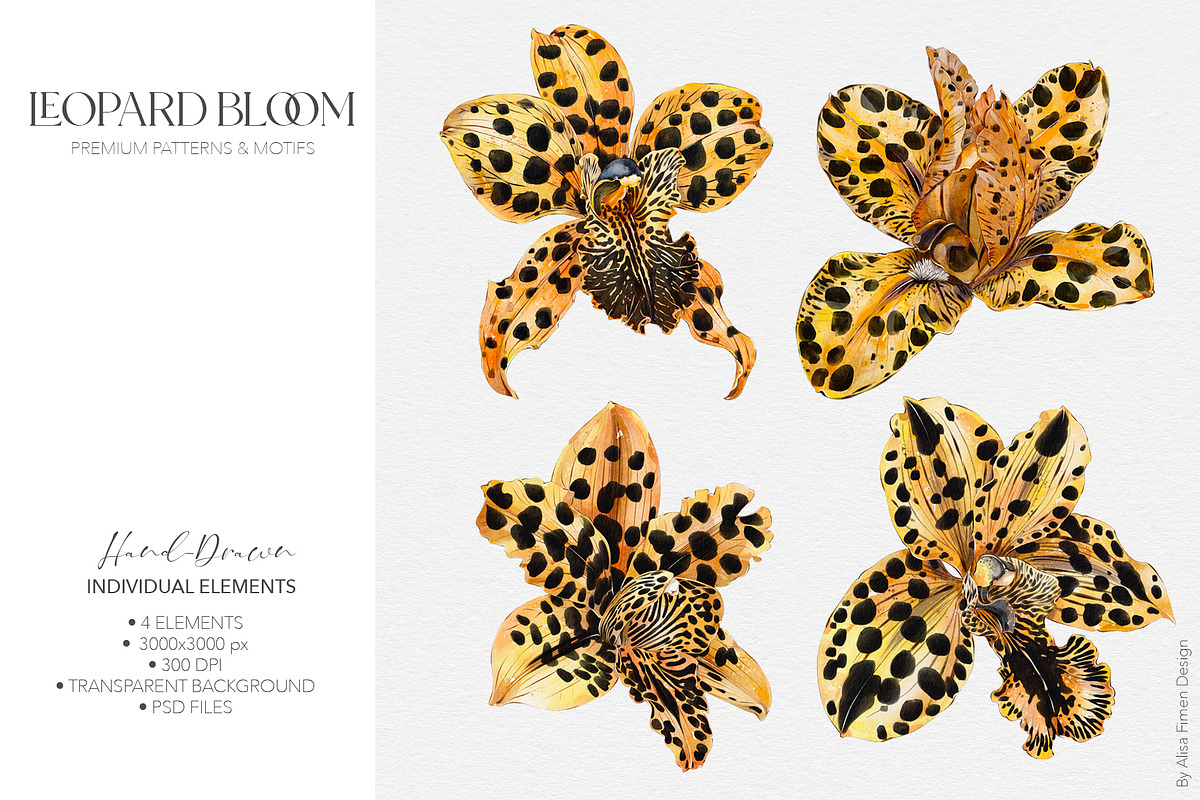 Leopard Bloom - Patterns & Motifs, a Pattern Graphic by Alisa Fimen Design (Photo 11 of 11)