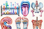 Watercolor Human Anatomy Clipart, a Person Illustration by BusyDaydesign (Thumbnail 6 of 9)