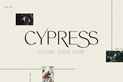 Modern Logo Sans Font Bundle, a Sans Serif Font by Jen Wagner Co (Thumbnail 19 of 39)