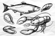 Seafood. Hand Drawn Vintage Set, a Background Graphic by Epine (Thumbnail 3 of 5)