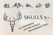 Hand-drawn Vector Skull Illustration, an Animal Illustration by Galaxybomb (Thumbnail 1 of 3)