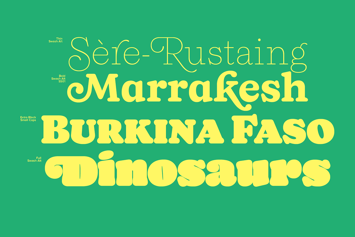 65% OFF Naiche Font Family, a Serif Font by Sundance Tipografia (Photo 9 of 15)