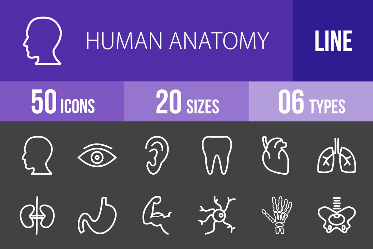 50 Human Anatomy Line Inverted Icons, an Outline Icon by IconBunny