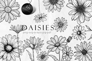 Daisy Flowers Line Art SVG